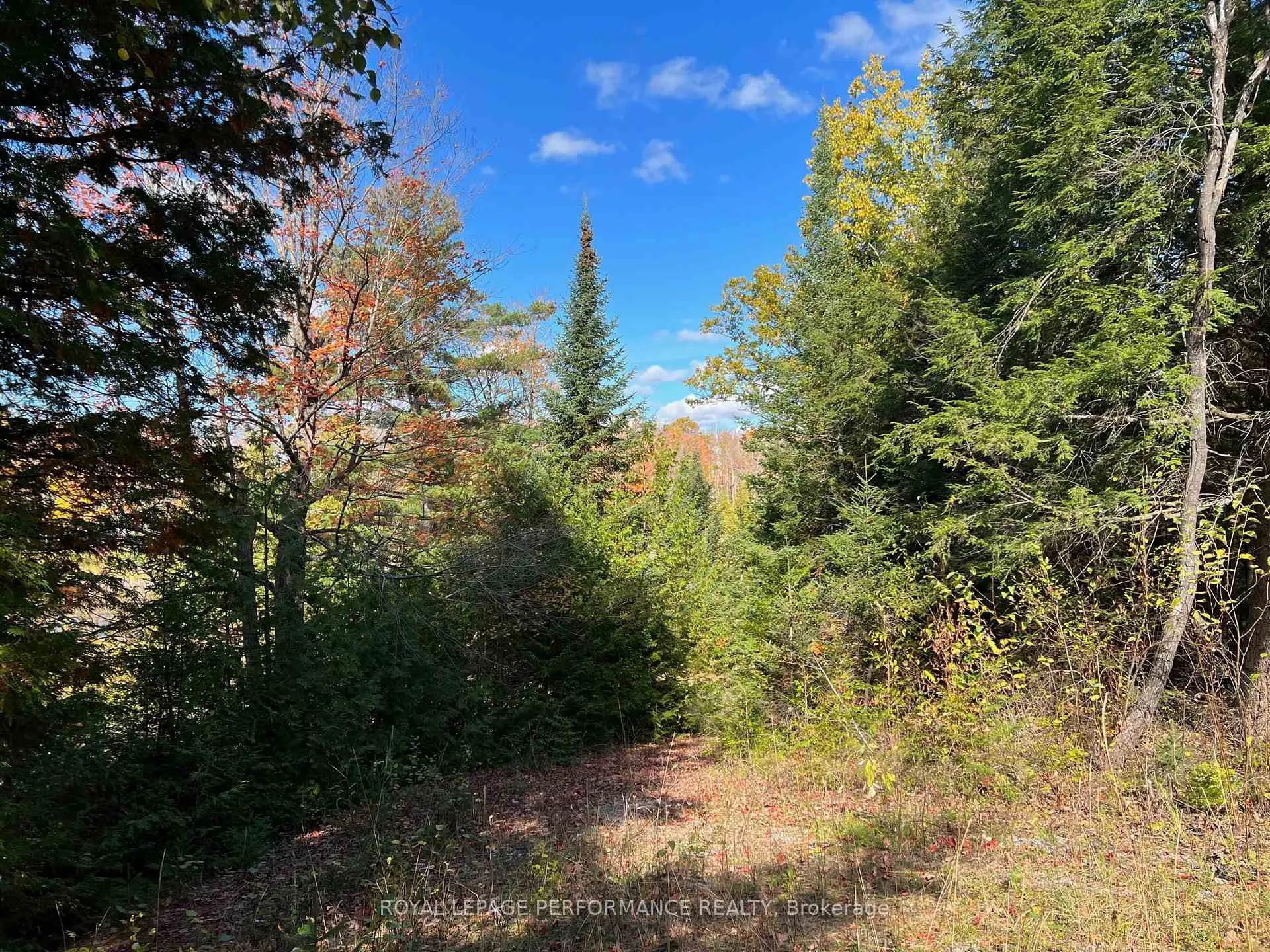 Photo 3 of 304 Lacourse Lane, Lanark Highlands, Lanark Highlands (Darling) Twp — HOMEH