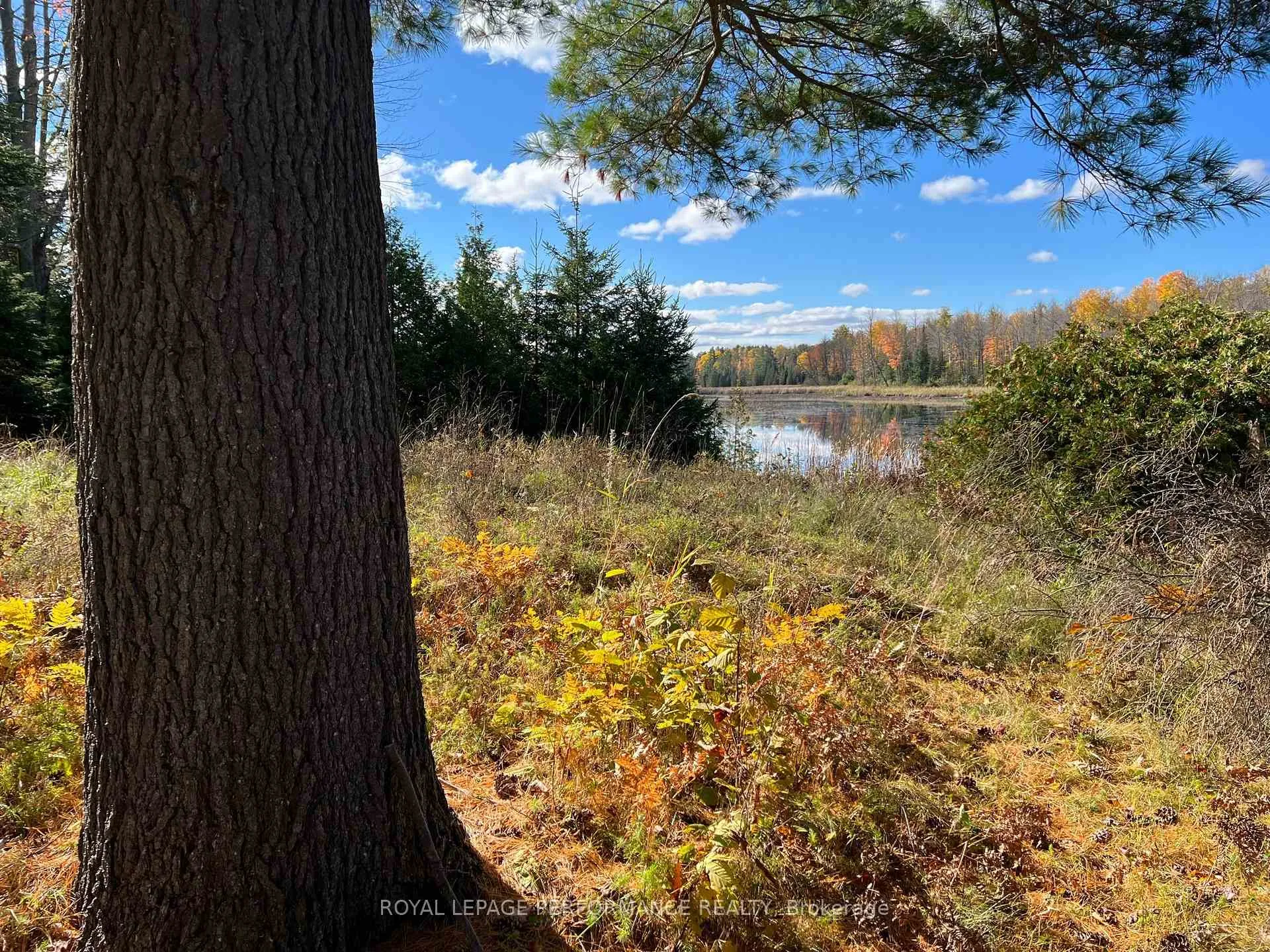 Photo 5 of 304 Lacourse Lane, Lanark Highlands, Lanark Highlands (Darling) Twp — HOMEH