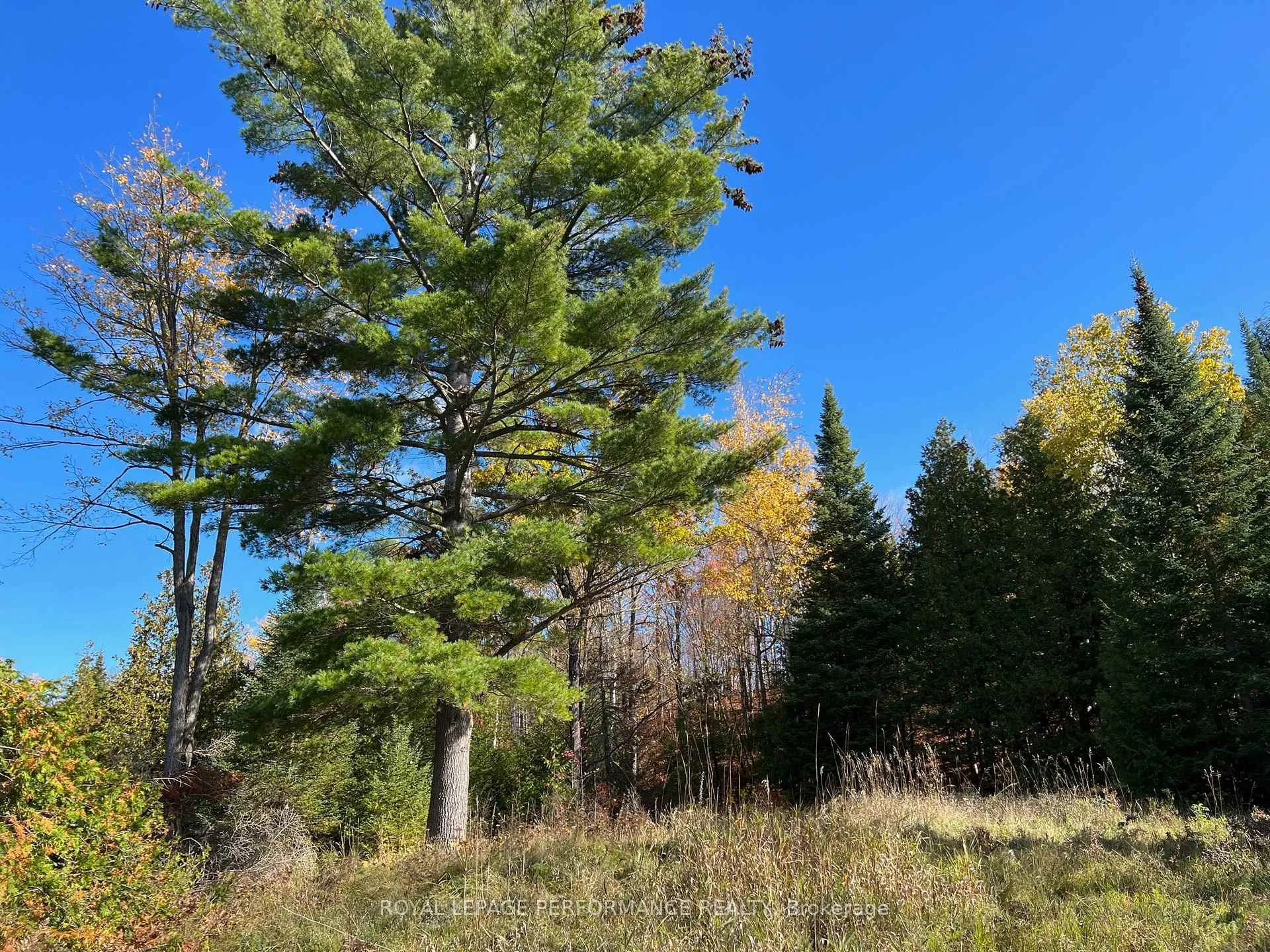 Photo 6 of 304 Lacourse Lane, Lanark Highlands, Lanark Highlands (Darling) Twp — HOMEH