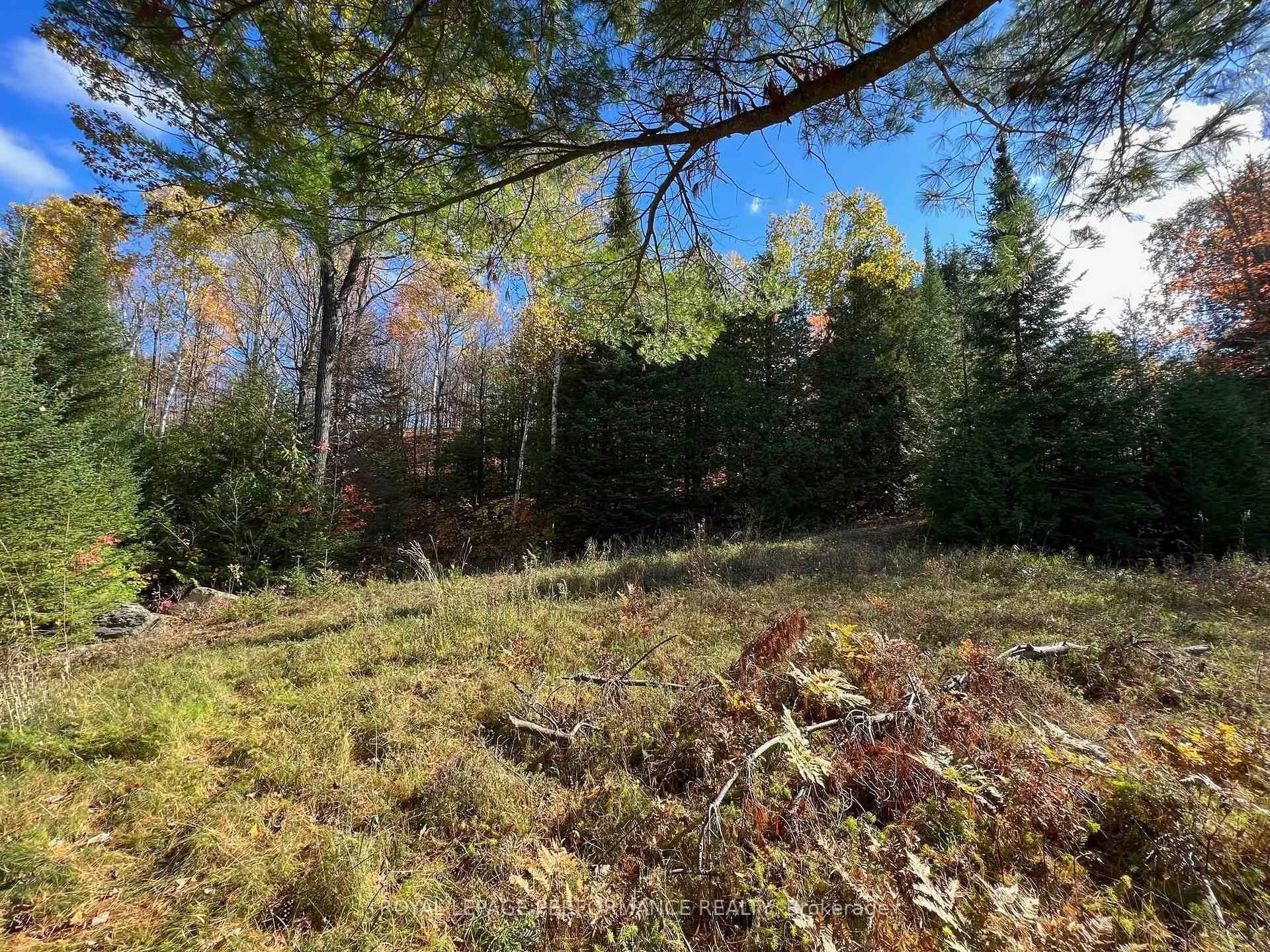Photo 7 of 304 Lacourse Lane, Lanark Highlands, Lanark Highlands (Darling) Twp — HOMEH