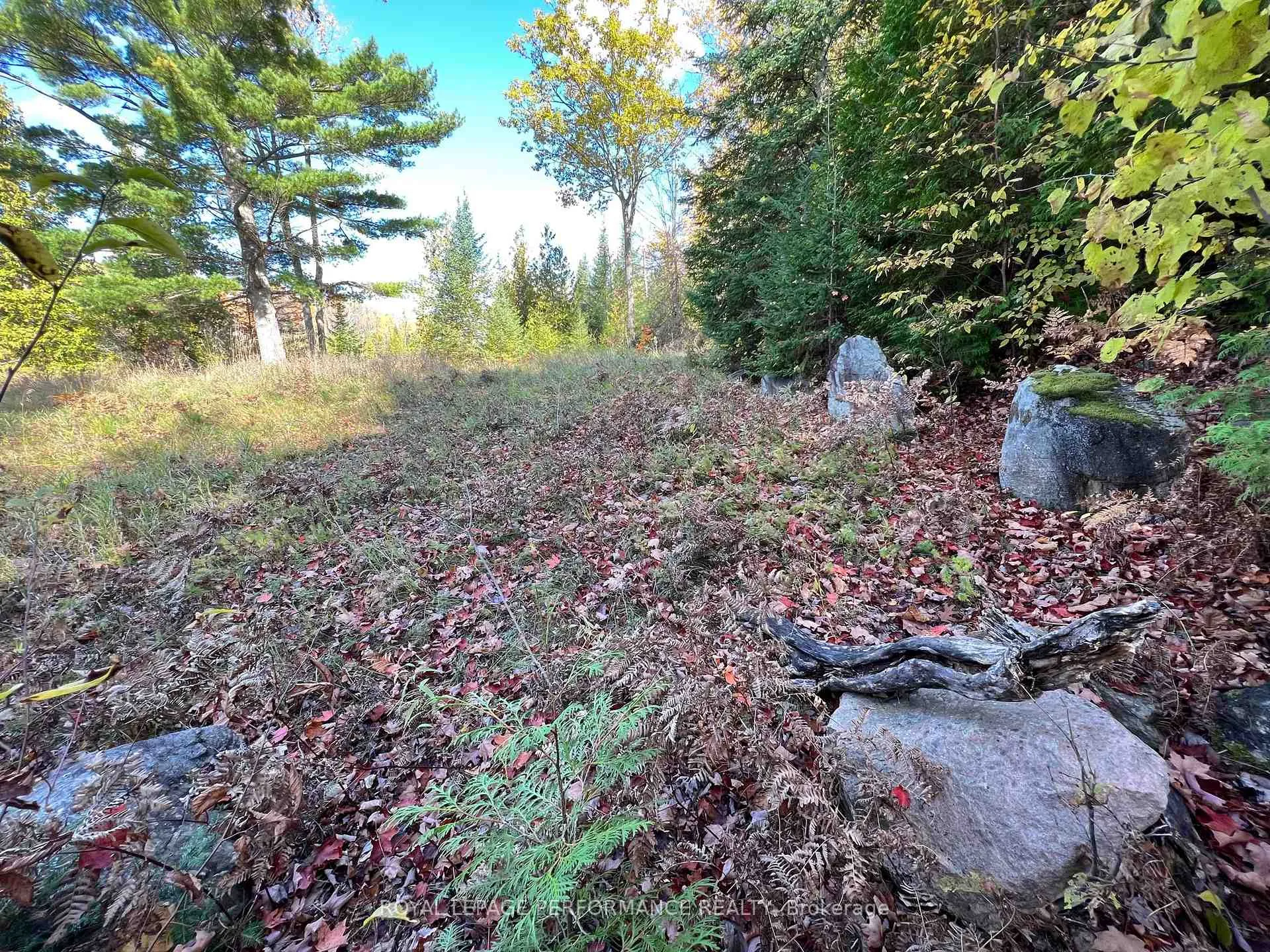 Photo 8 of 304 Lacourse Lane, Lanark Highlands, Lanark Highlands (Darling) Twp — HOMEH