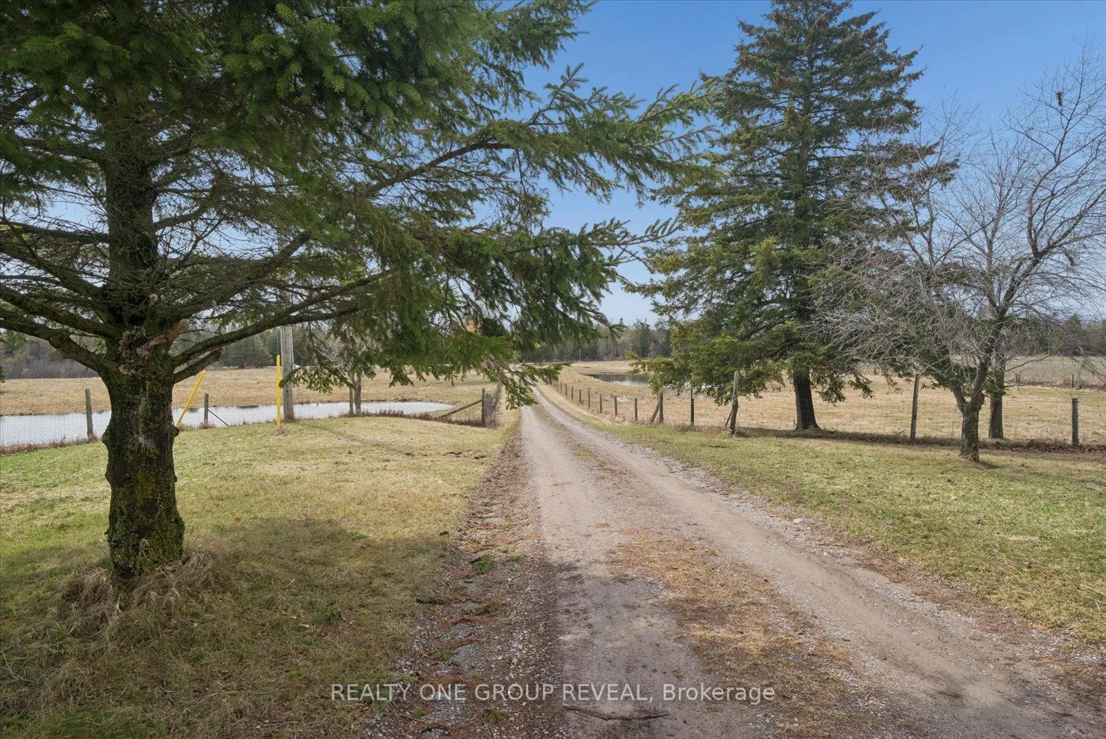 Photo 8 of 2469 Asphodel 11th Line, Asphodel-Norwood, Rural Asphodel-Norwood — HOMEH