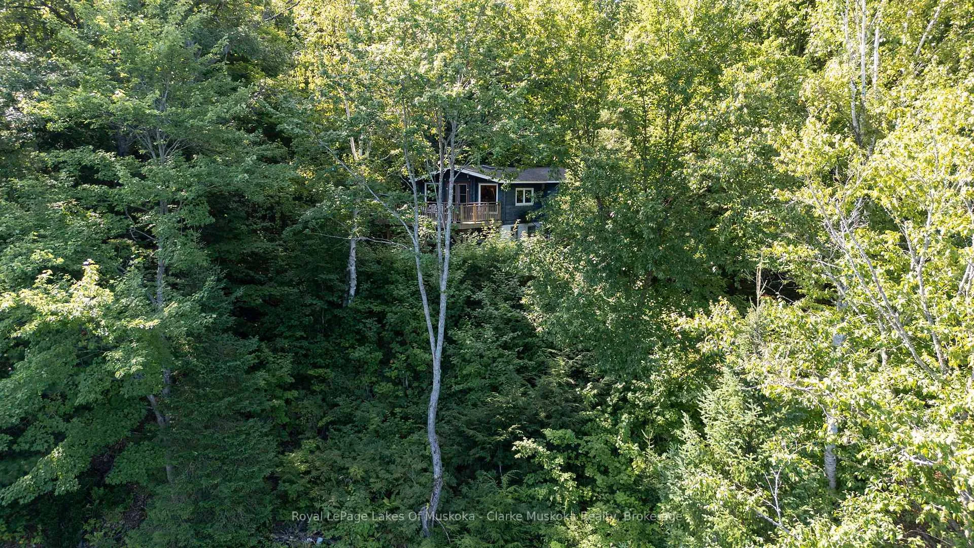 Photo 2 of 74 Lioness Road, Seguin — HOMEH