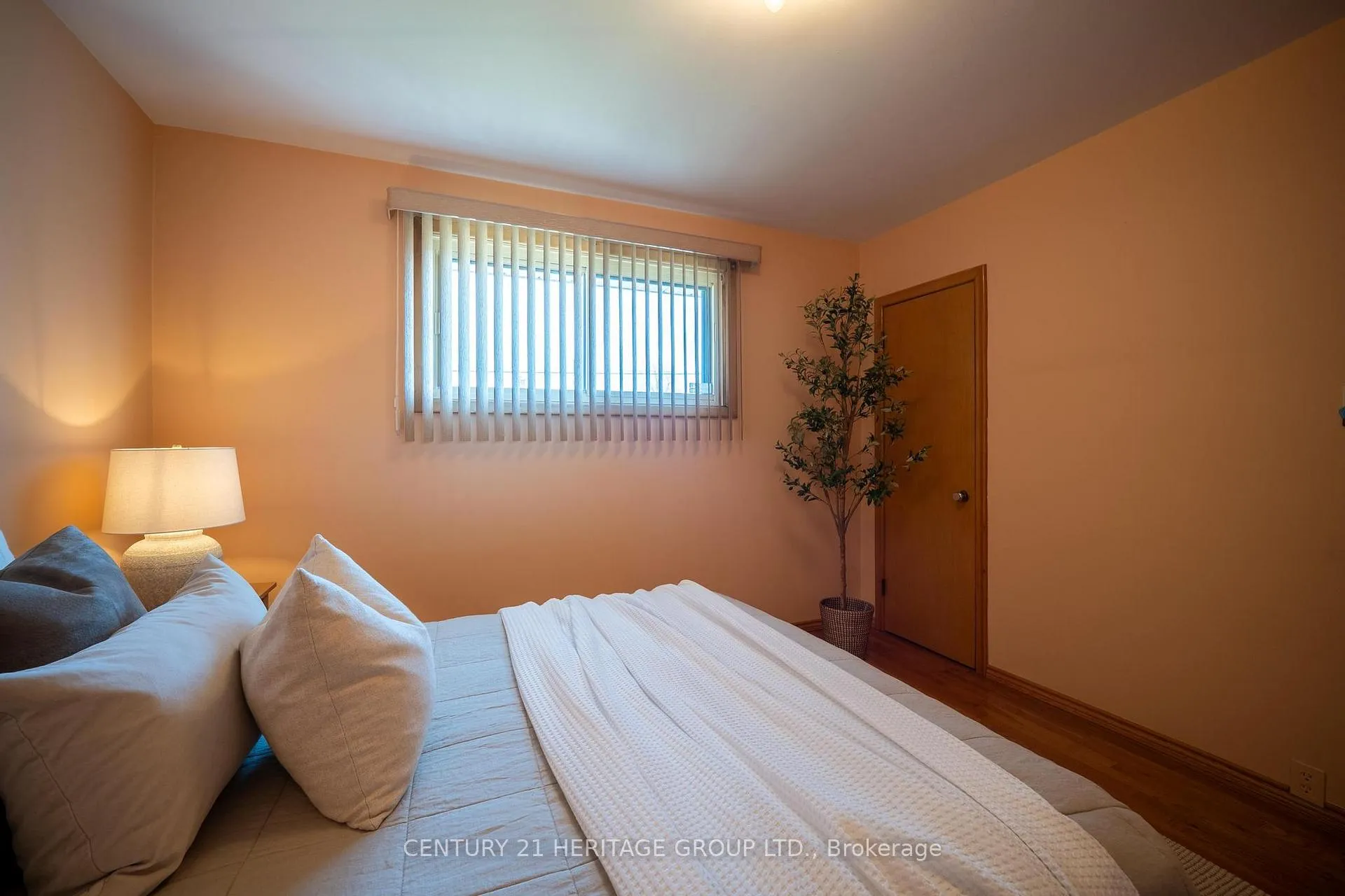 Photo 21 of 31 Terrace Drive, Hamilton, Balfour — HOMEH