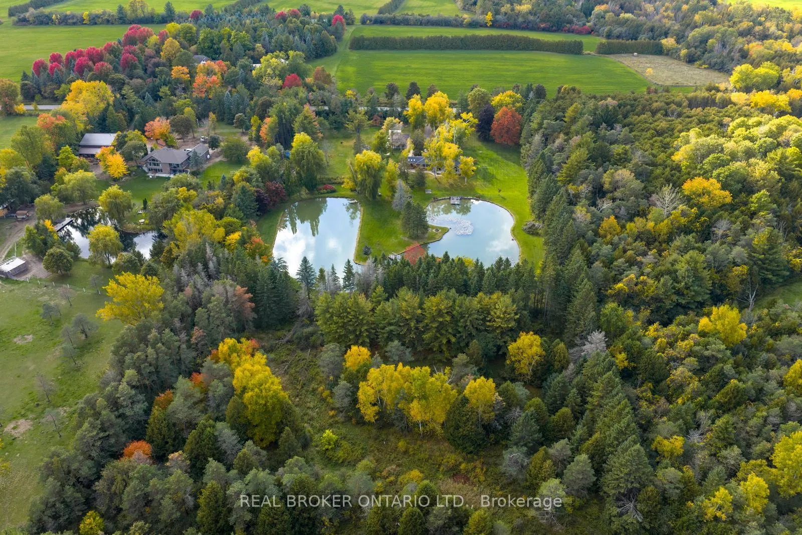Photo 31 of 9285 Dagmar Road, Whitby, Rural Whitby — HOMEH