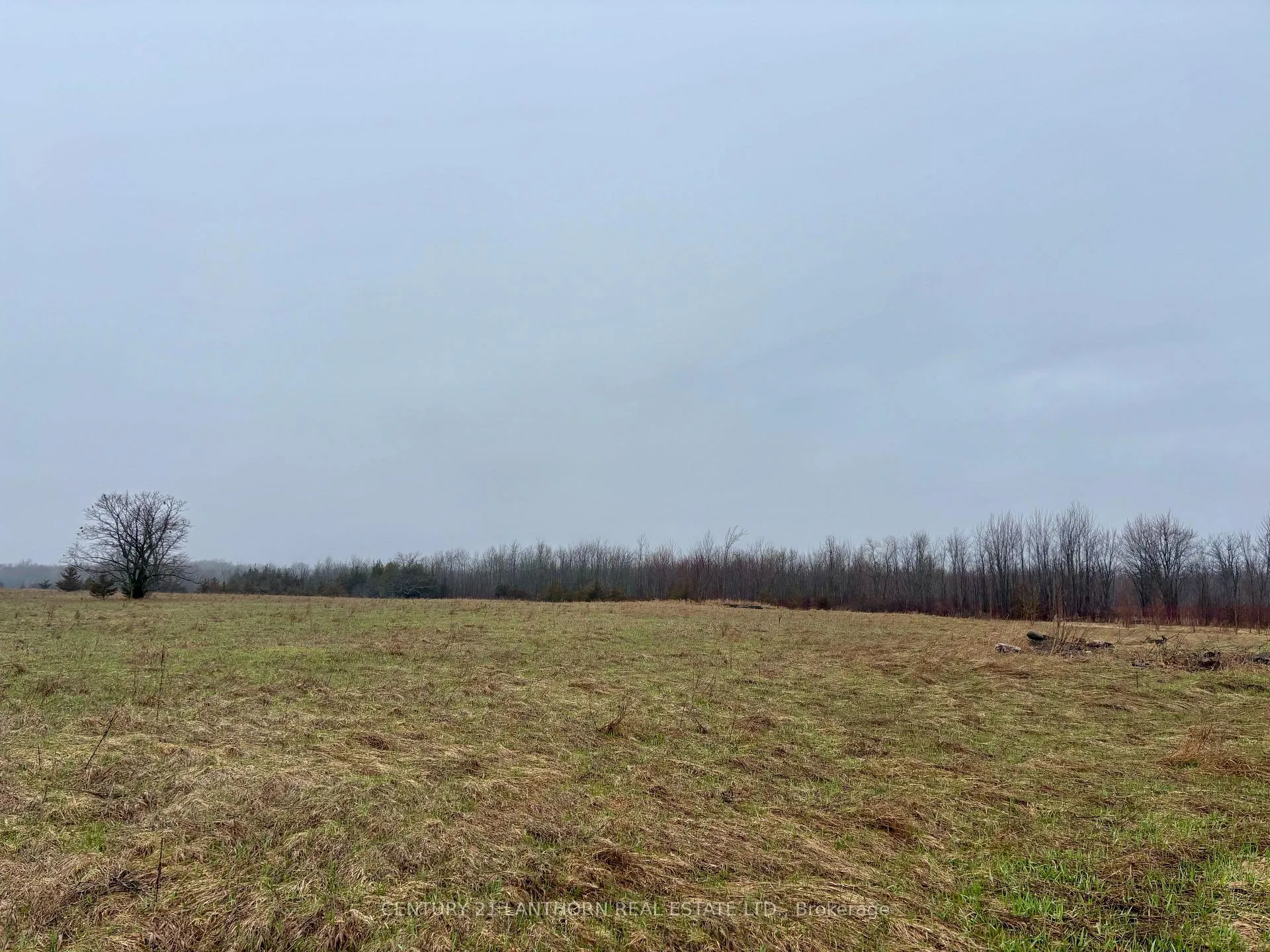 Photo 2 of 00 Mitchells Cross Road, Prince Edward County, North Marysburgh — HOMEH