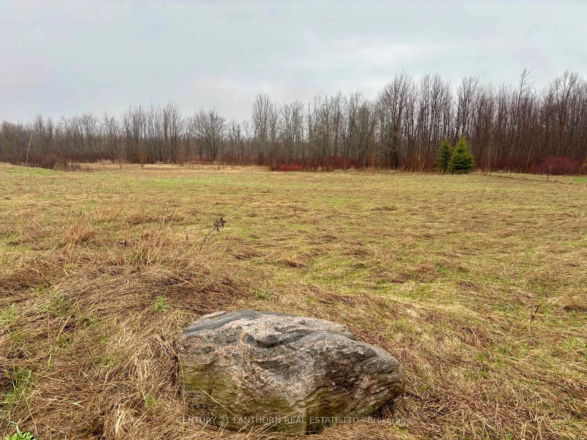Photo 3 of 00 Mitchells Cross Road, Prince Edward County, North Marysburgh — HOMEH