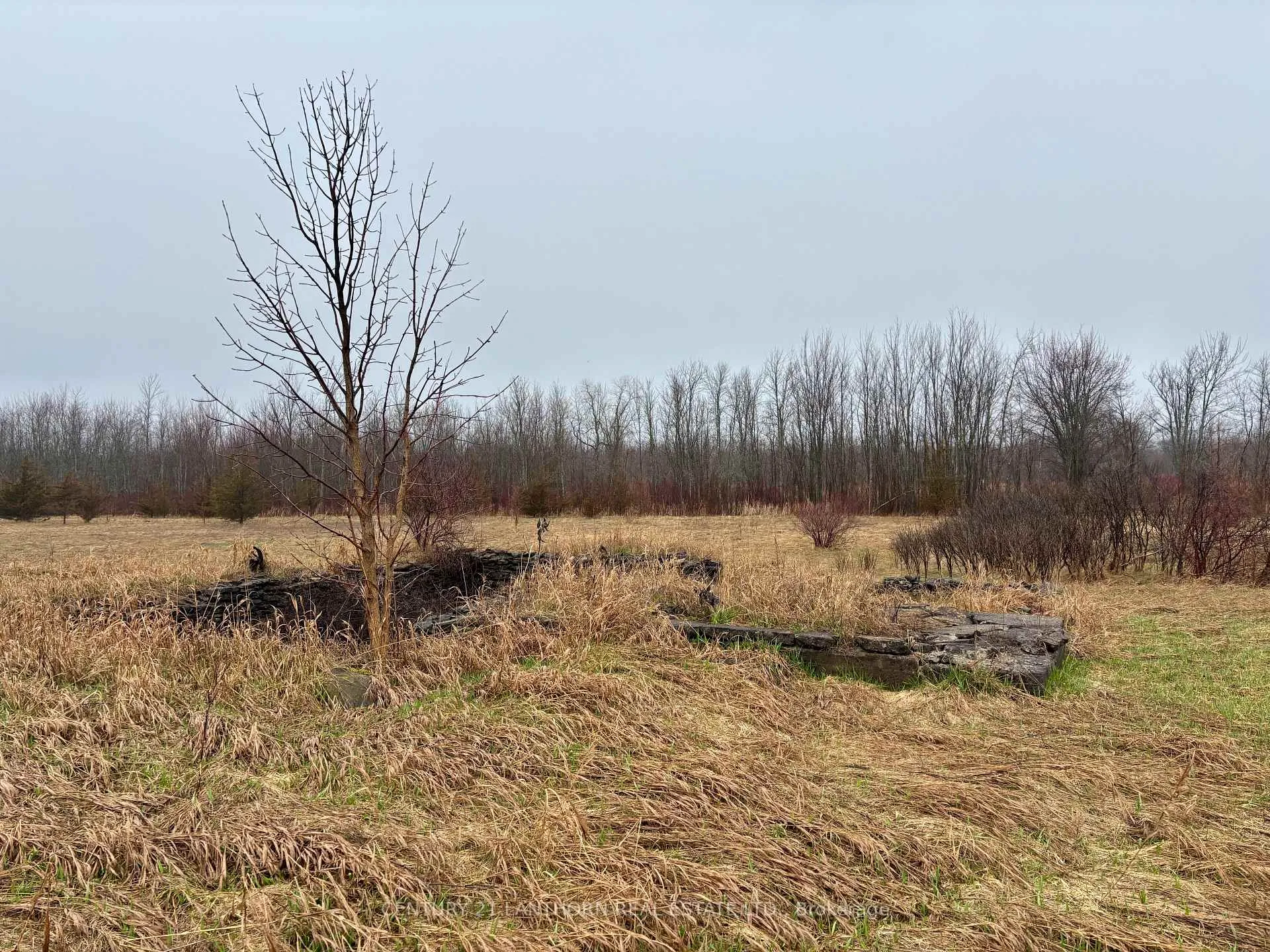 Photo 4 of 00 Mitchells Cross Road, Prince Edward County, North Marysburgh — HOMEH