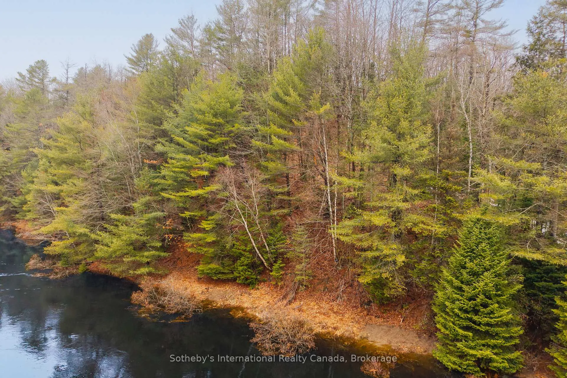 Photo 7 of 1000 Alpine Ranch Road, Bracebridge, Macaulay — HOMEH
