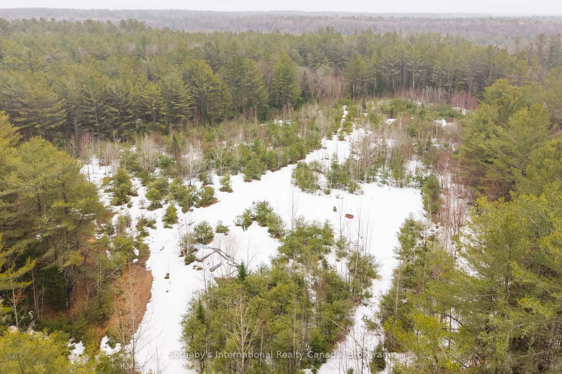 Photo 24 of 1000 Alpine Ranch Road, Bracebridge, Macaulay — HOMEH