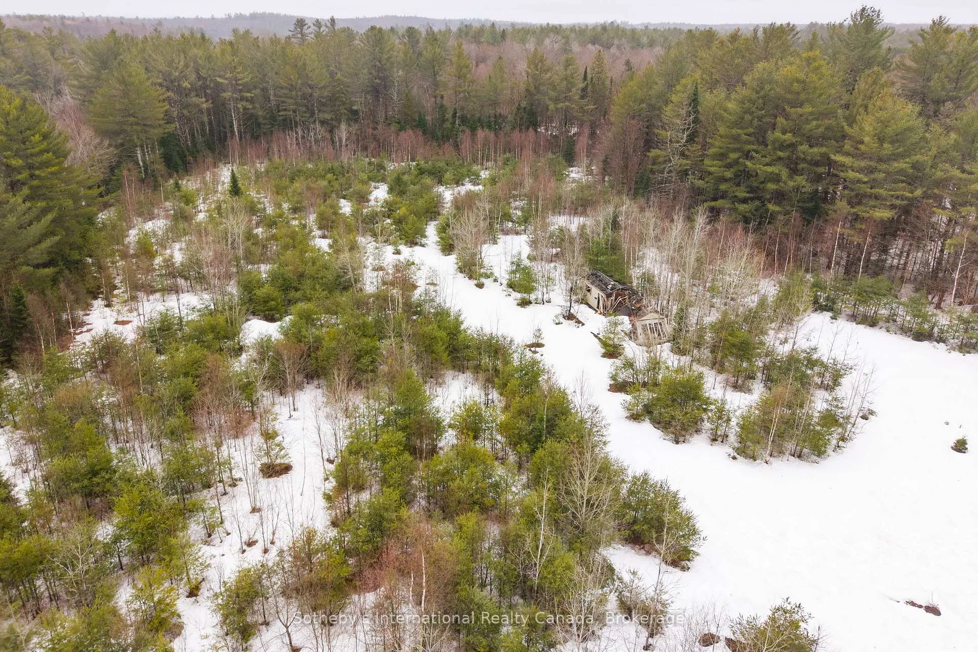 Photo 26 of 1000 Alpine Ranch Road, Bracebridge, Macaulay — HOMEH