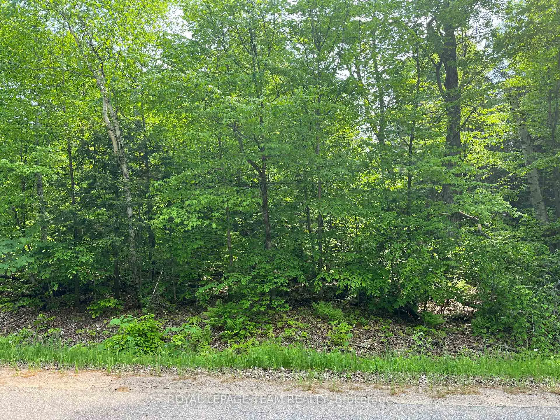 Photo of 387 Sunny Hill Road