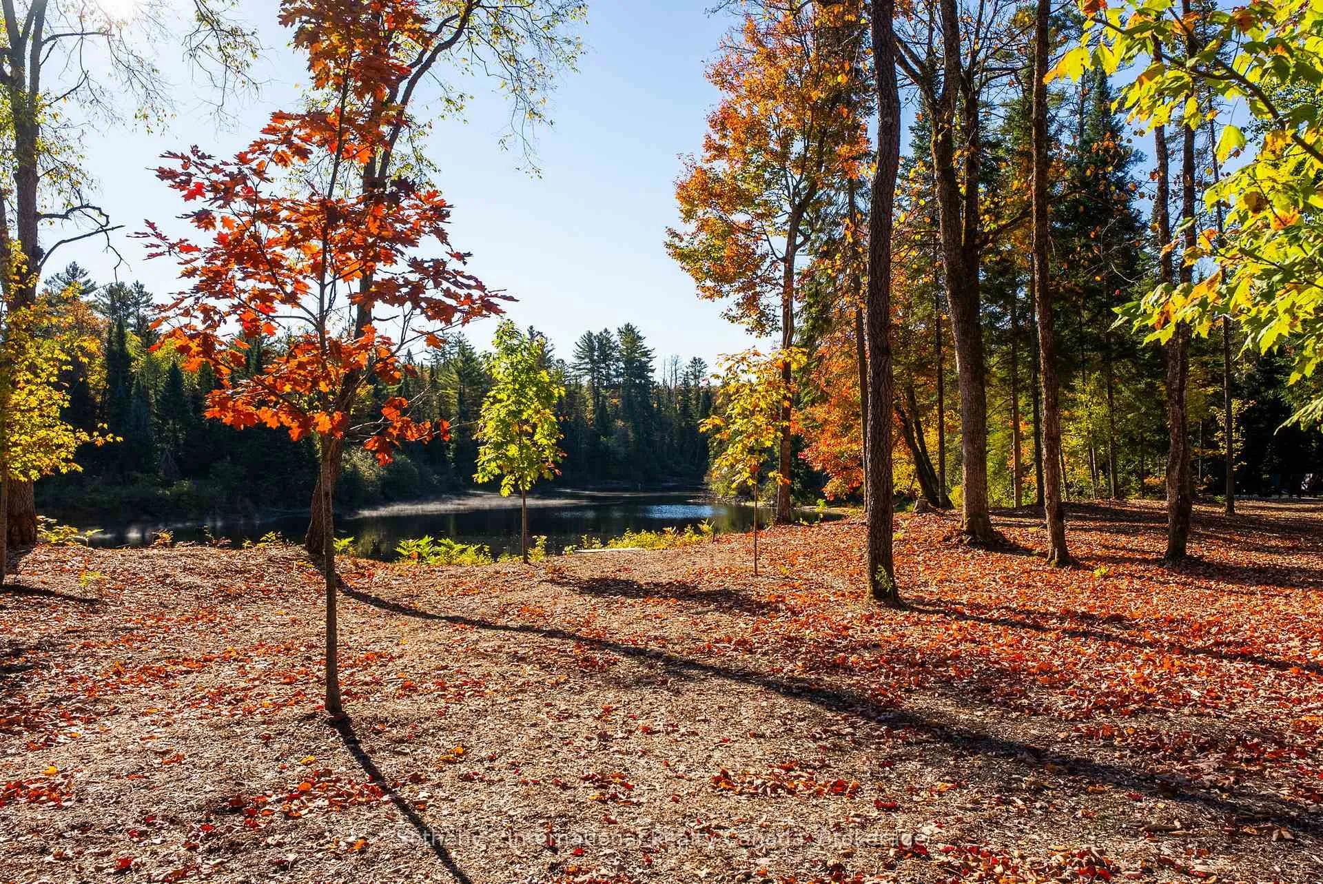 Photo 42 of 26 Mcgregor Way, Bracebridge, Macaulay — HOMEH