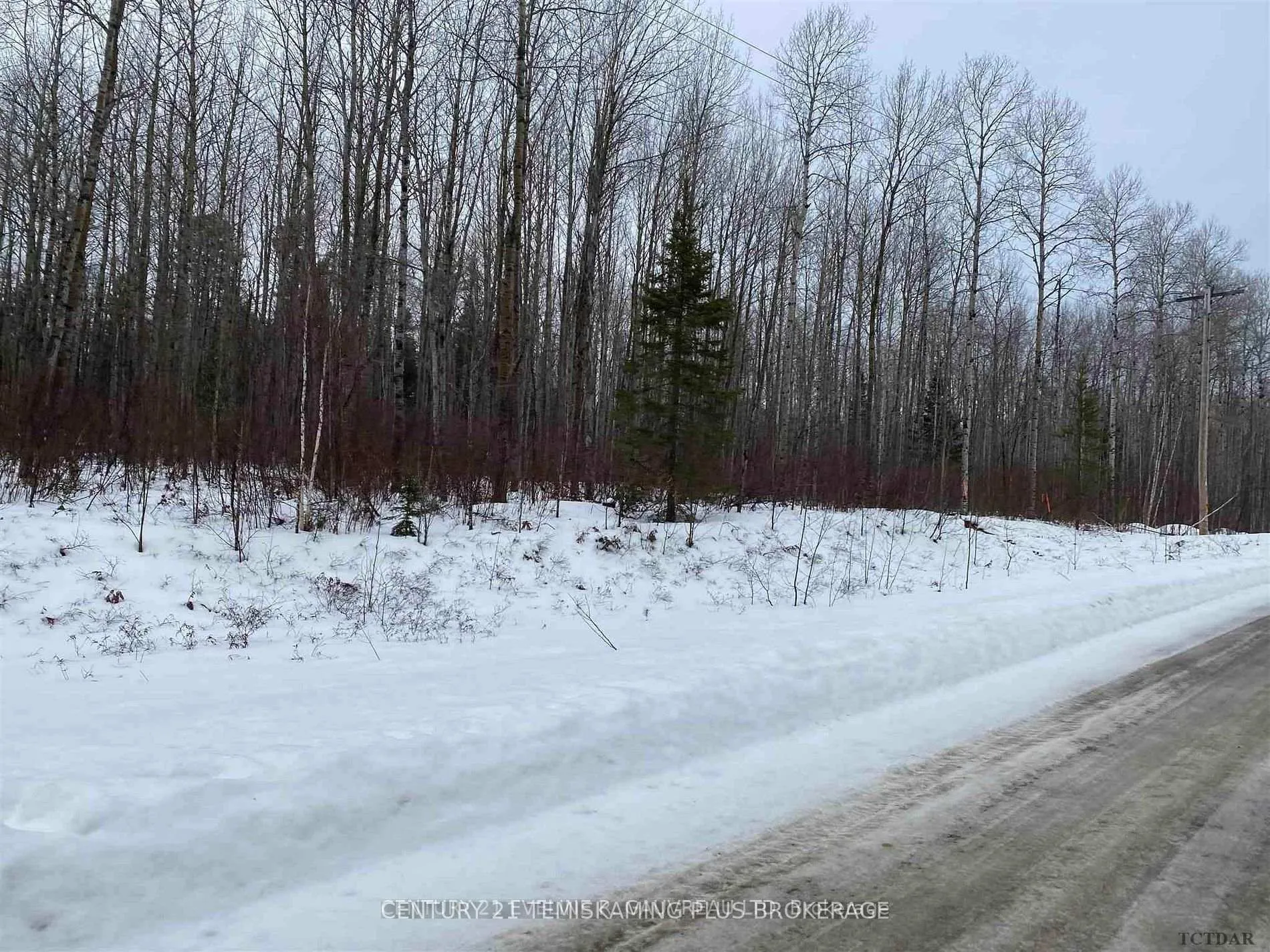 Photo 2 of Part 12 Girl Guide Road, Cobalt — HOMEH