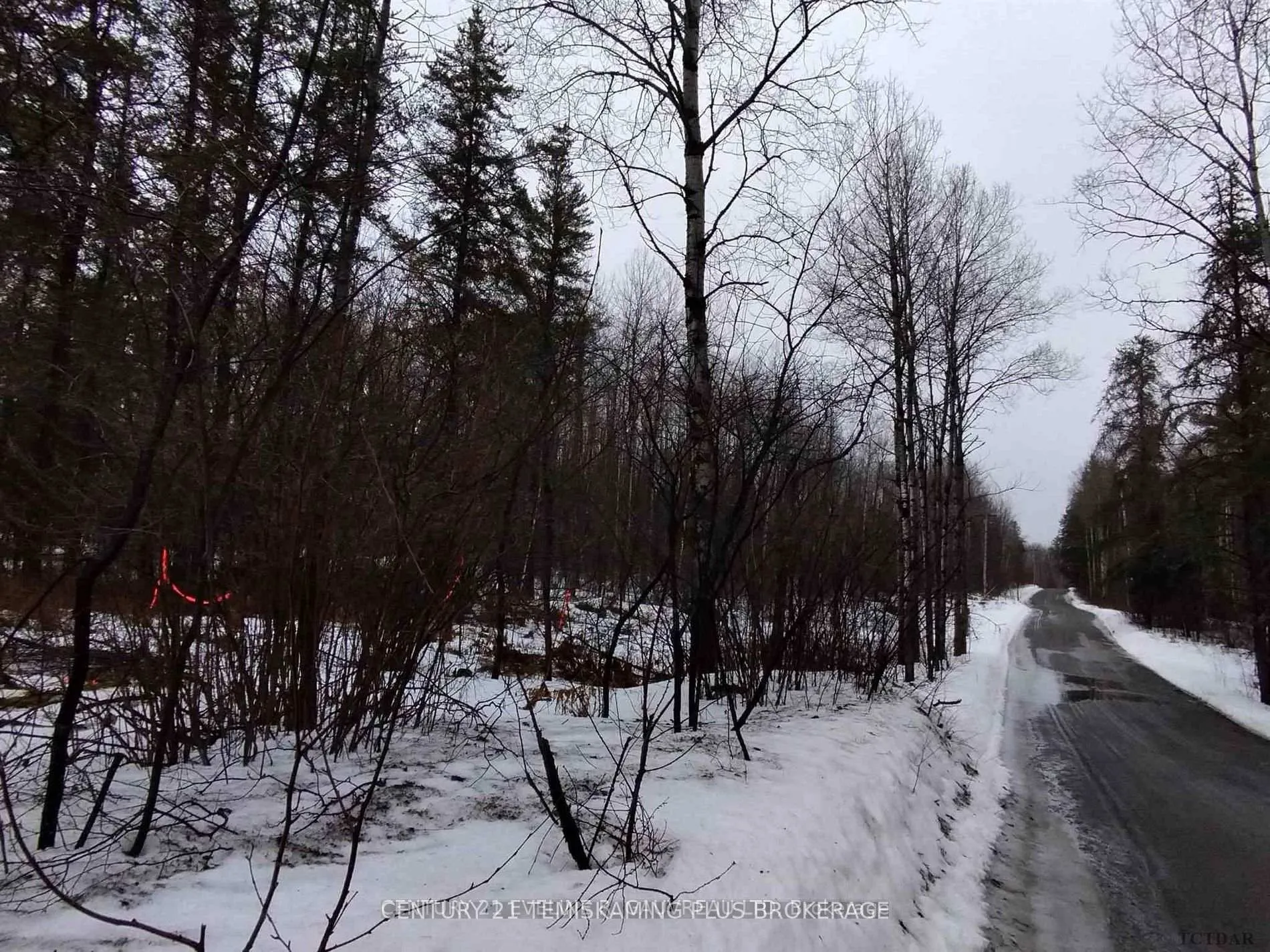 Photo 3 of Part 12 Girl Guide Road, Cobalt — HOMEH