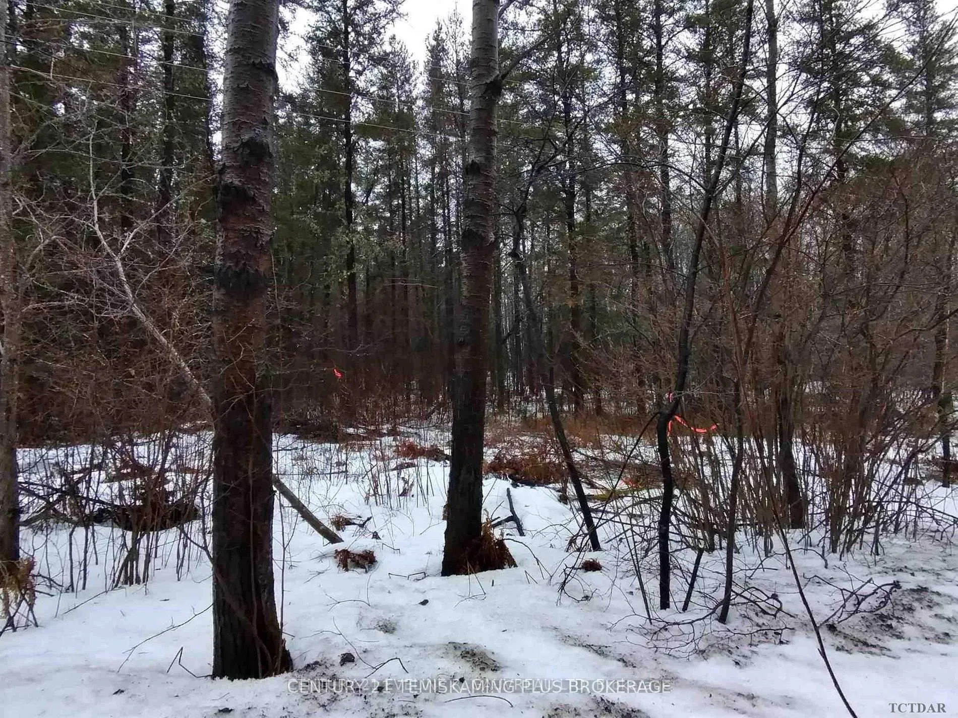 Photo 5 of Part 12 Girl Guide Road, Cobalt — HOMEH