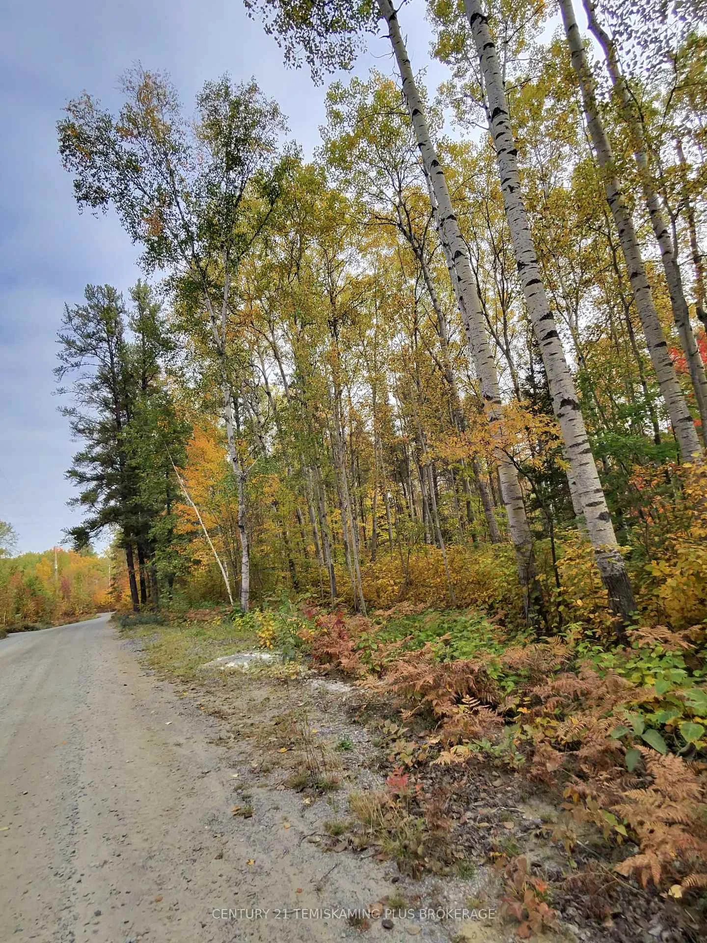Photo of Part 12 Girl Guide Road