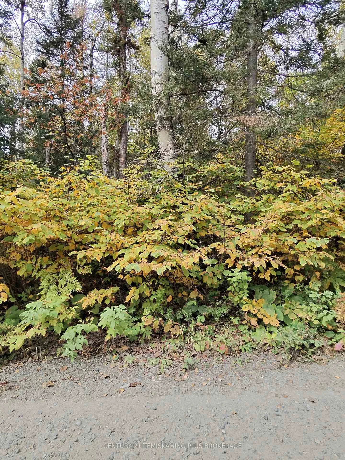 Photo 4 of Part 12 Girl Guide Road, Cobalt — HOMEH