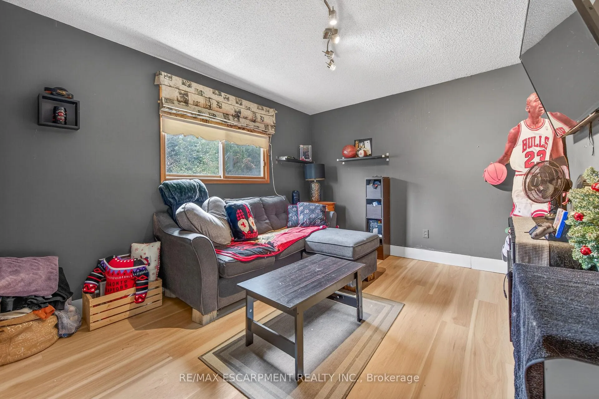 Photo 35 of 249 Lloyminn Avenue, Hamilton, Ancaster — HOMEH