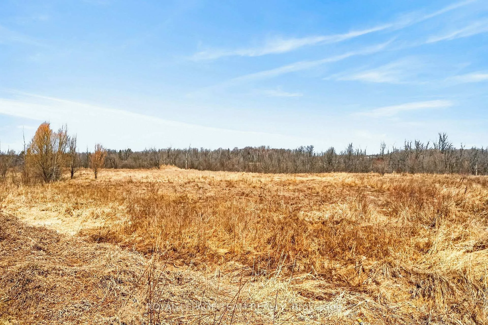 Photo 41 of 216 Trail Side Circle, Ottawa, Springridge/East Village — HOMEH