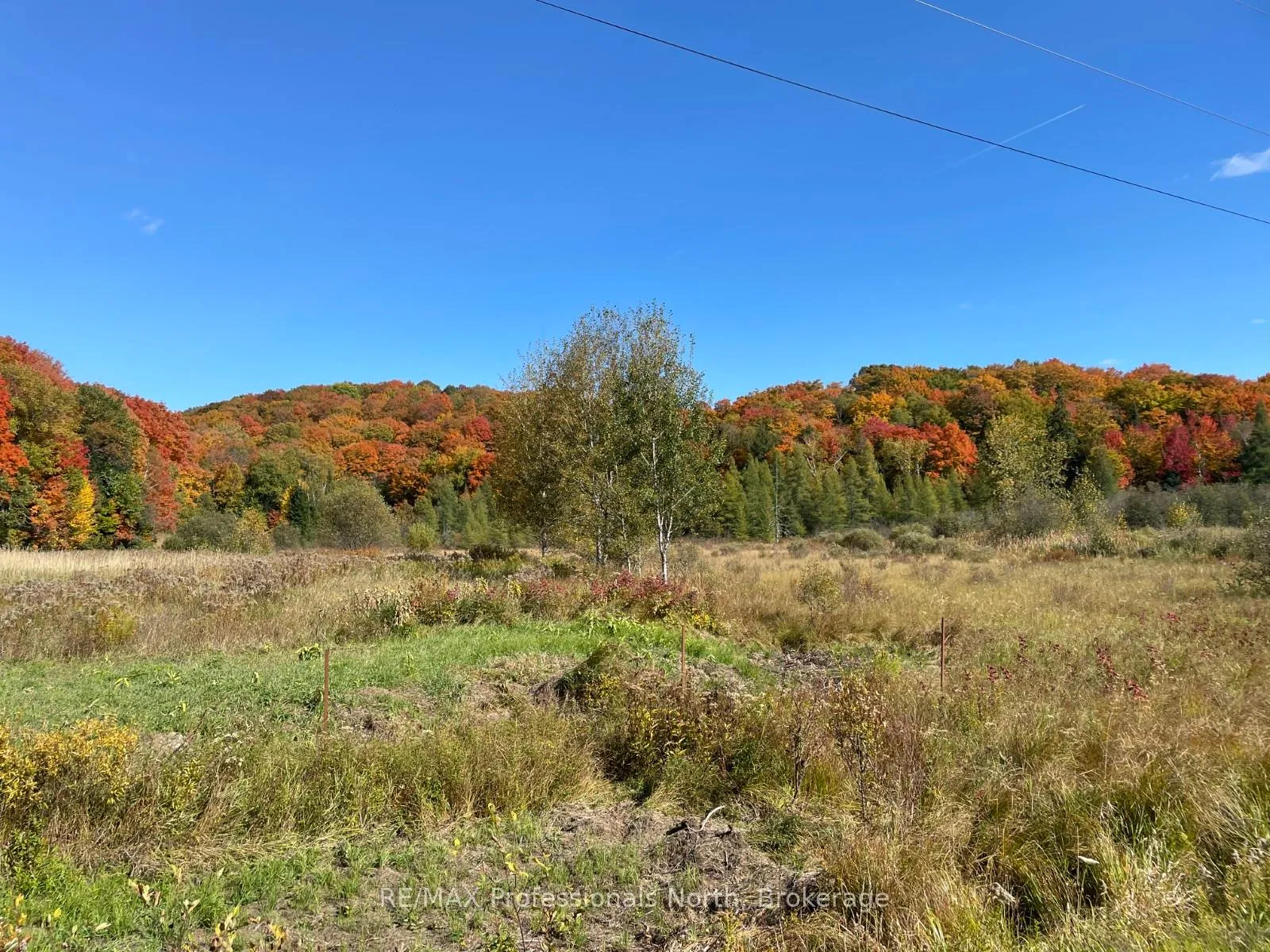Photo 14 of Part 3 Highway 118, Highlands East, Monmouth — HOMEH