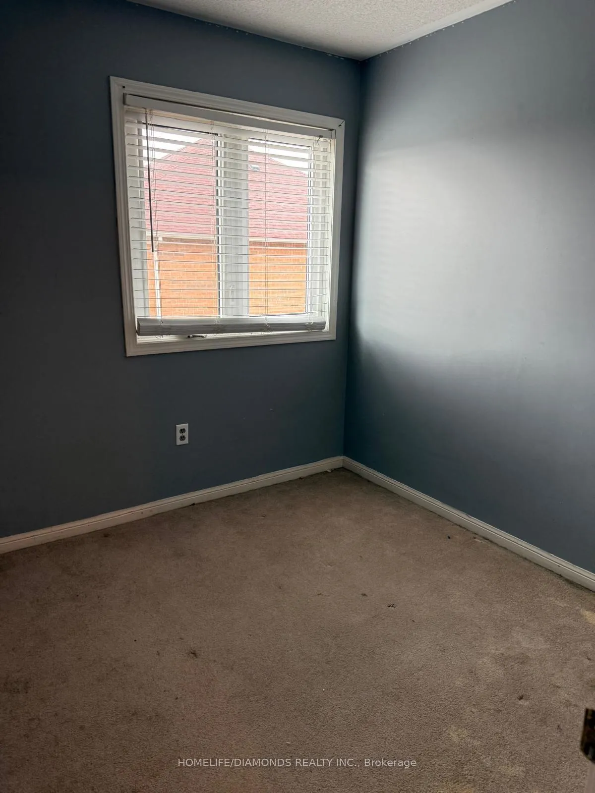 Photo 9 of 123 Oatfield Road, Brampton, Sandringham-Wellington — HOMEH