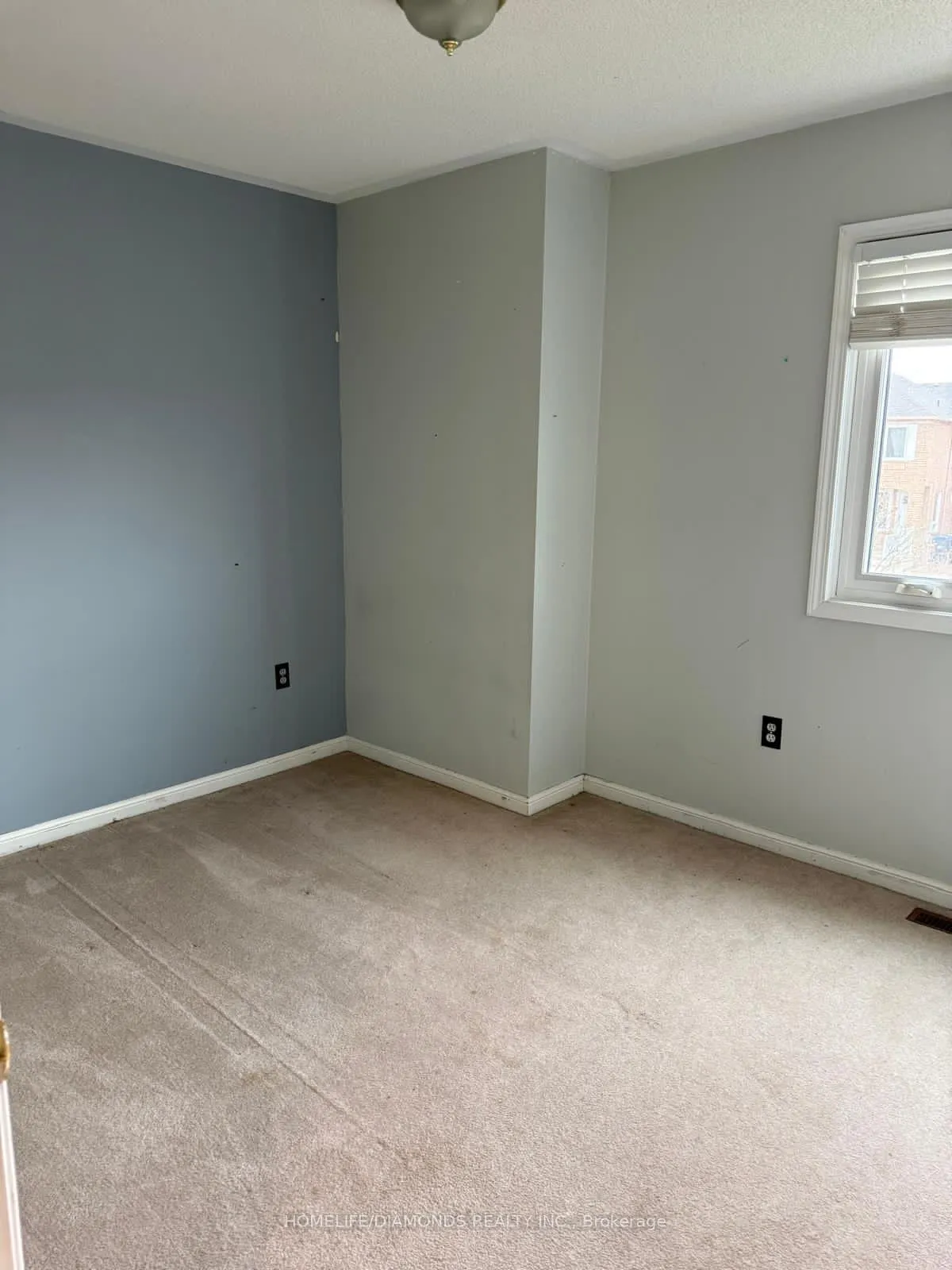 Photo 12 of 123 Oatfield Road, Brampton, Sandringham-Wellington — HOMEH