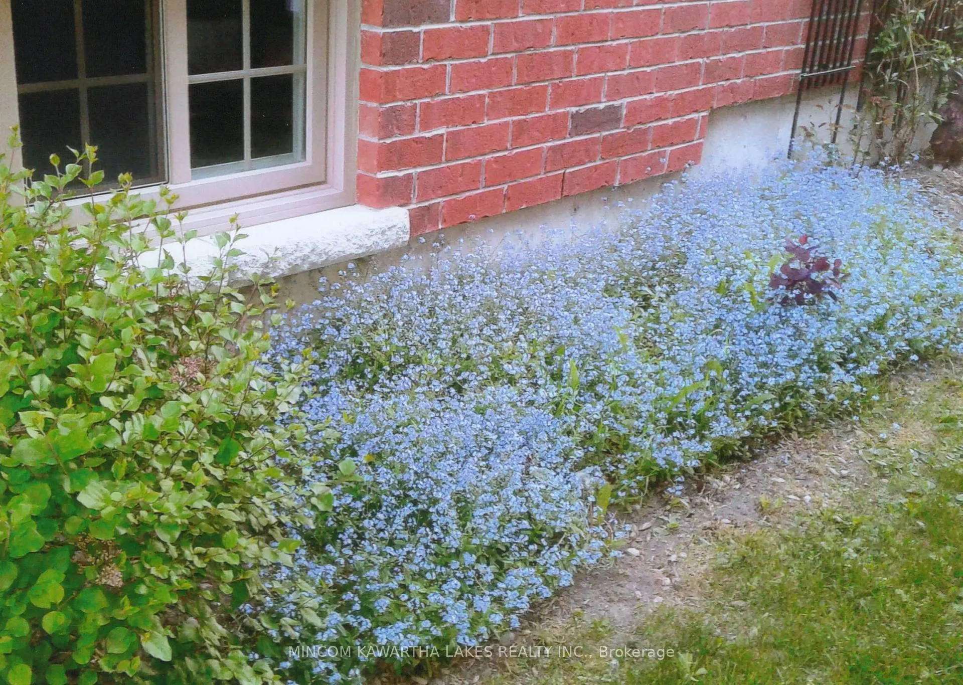 Photo 39 of 806 Smith Road, Cobourg — HOMEH