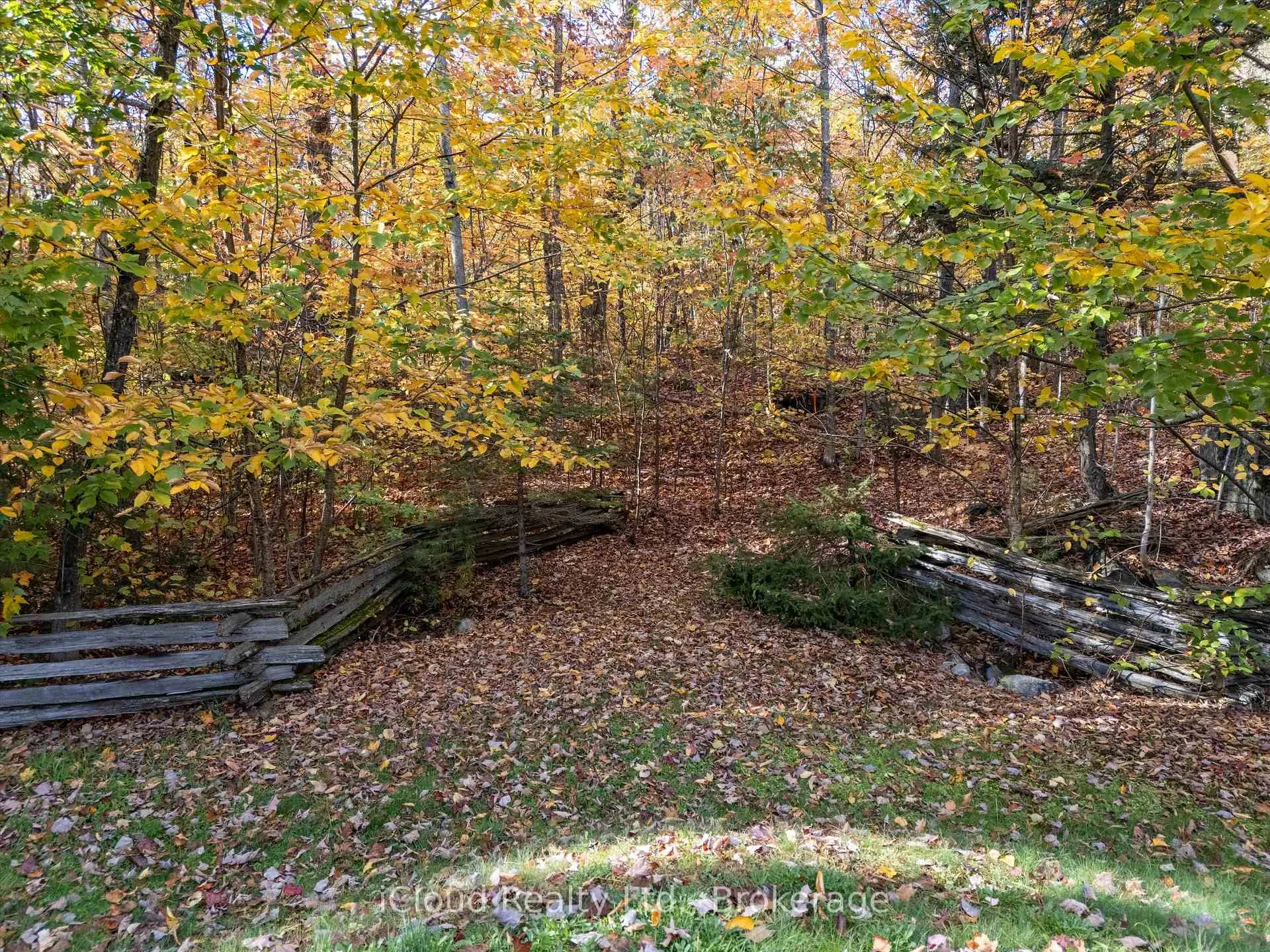 Photo 24 of 6 Springhill Road, McKellar — HOMEH