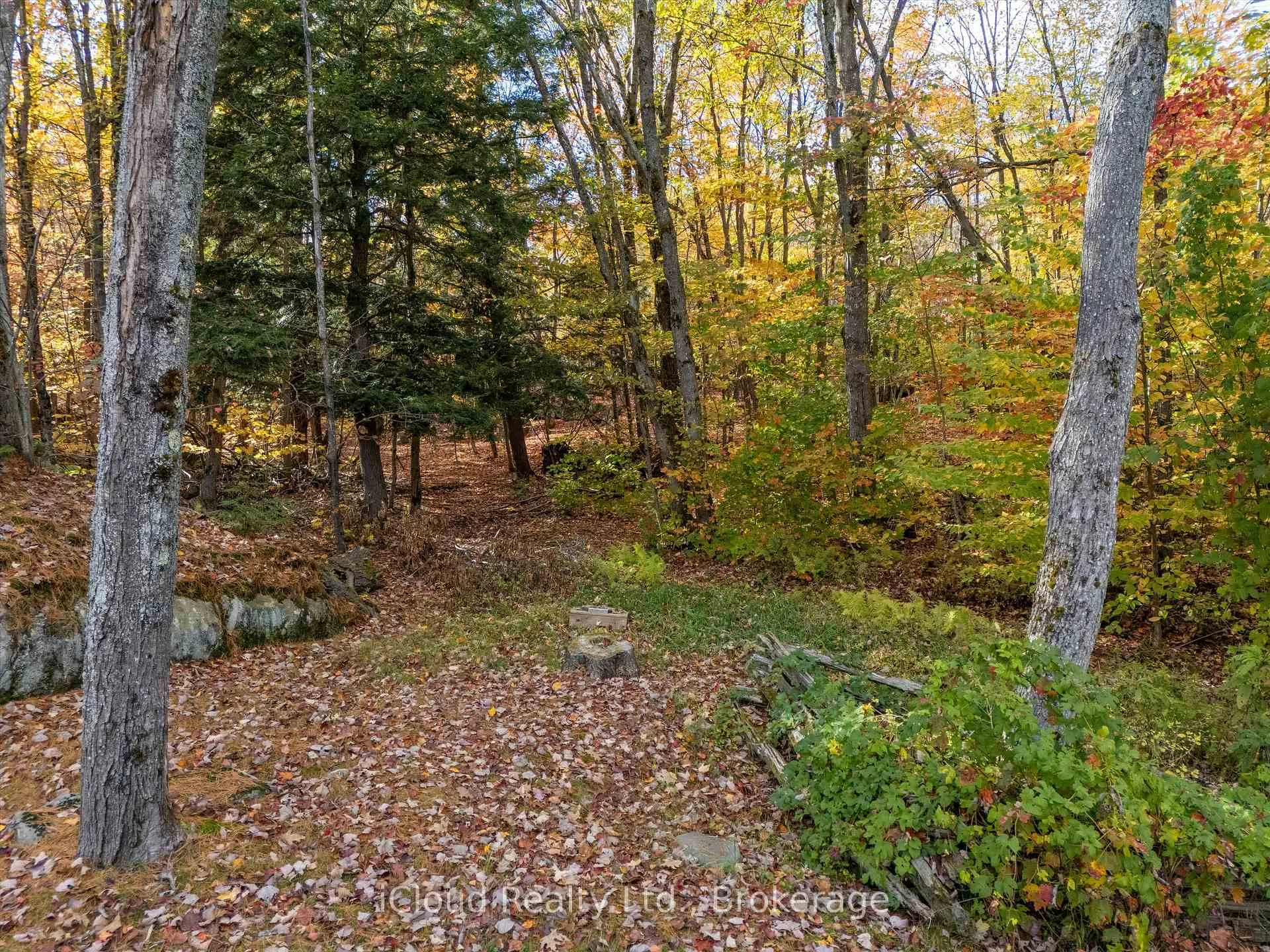 Photo 28 of 6 Springhill Road, McKellar — HOMEH