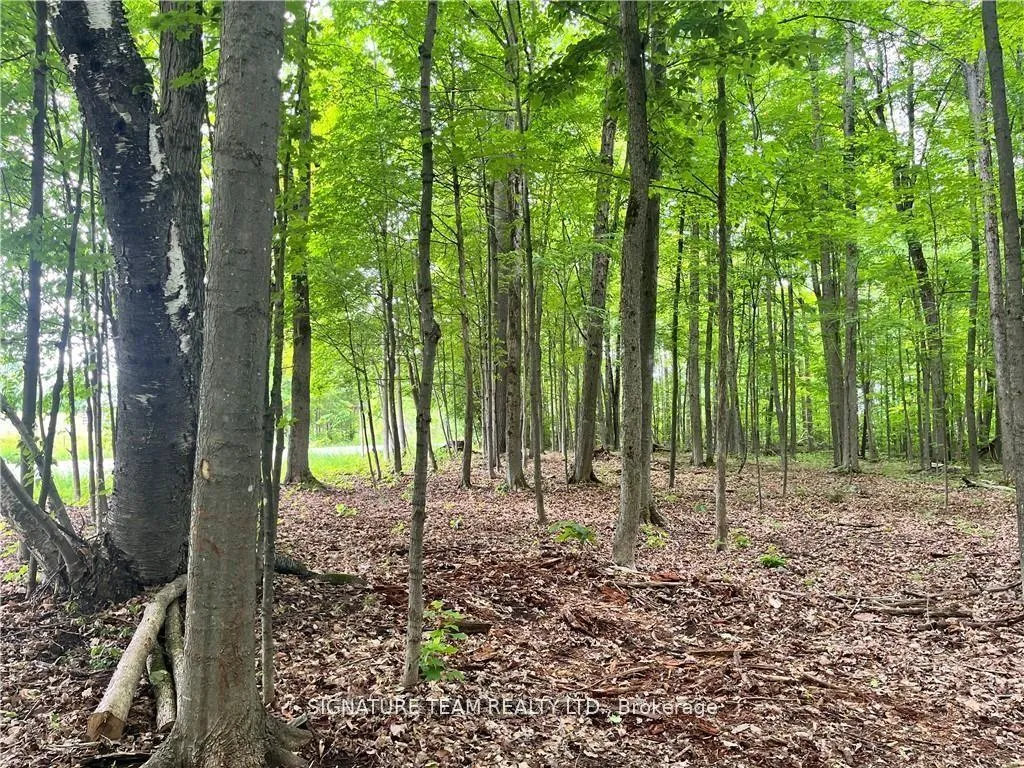 Photo 2 of lot 2 Point Road, McNab/Braeside, Mcnab/Braeside Twps — HOMEH