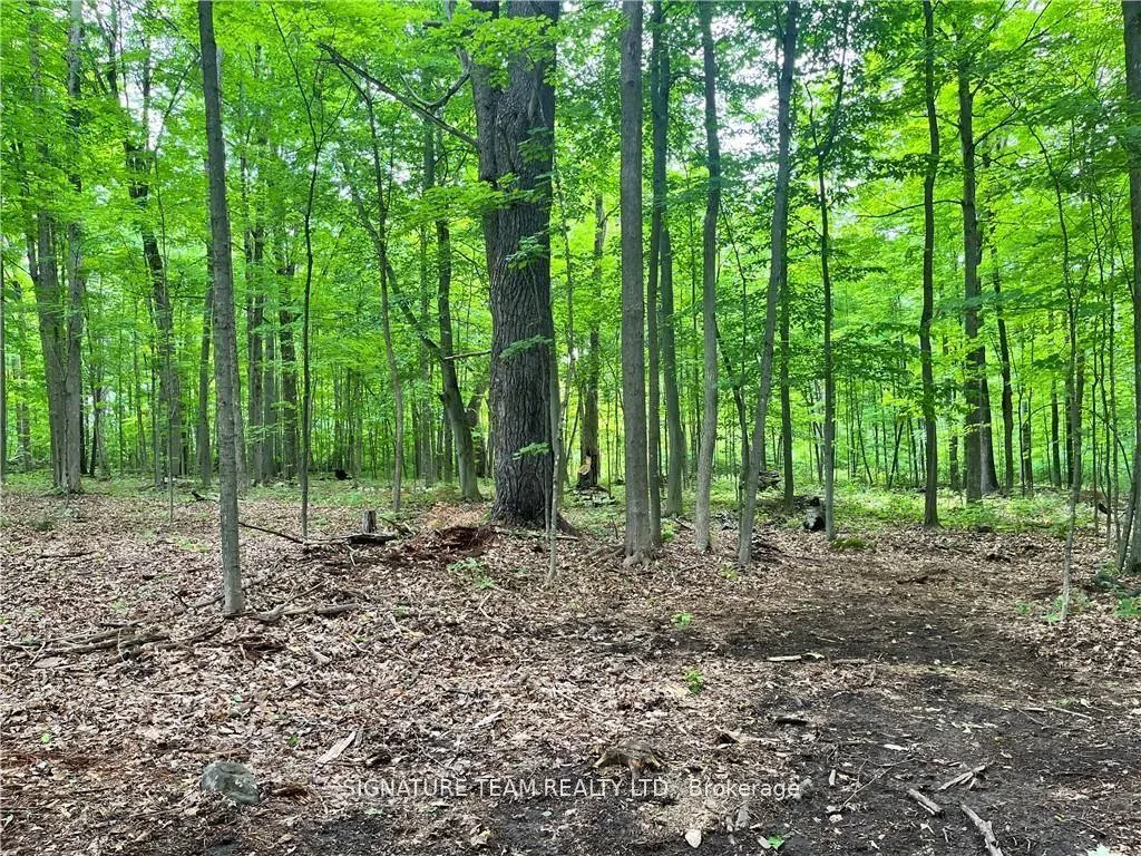 Photo 3 of lot 2 Point Road, McNab/Braeside, Mcnab/Braeside Twps — HOMEH