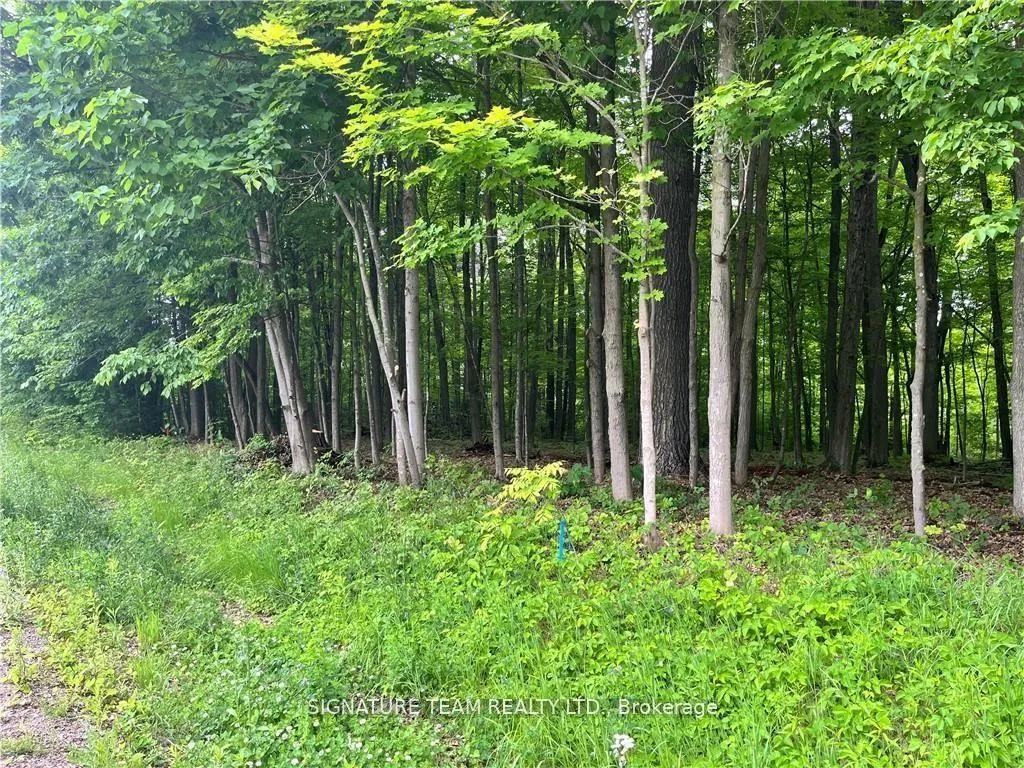 Photo 6 of lot 2 Point Road, McNab/Braeside, Mcnab/Braeside Twps — HOMEH