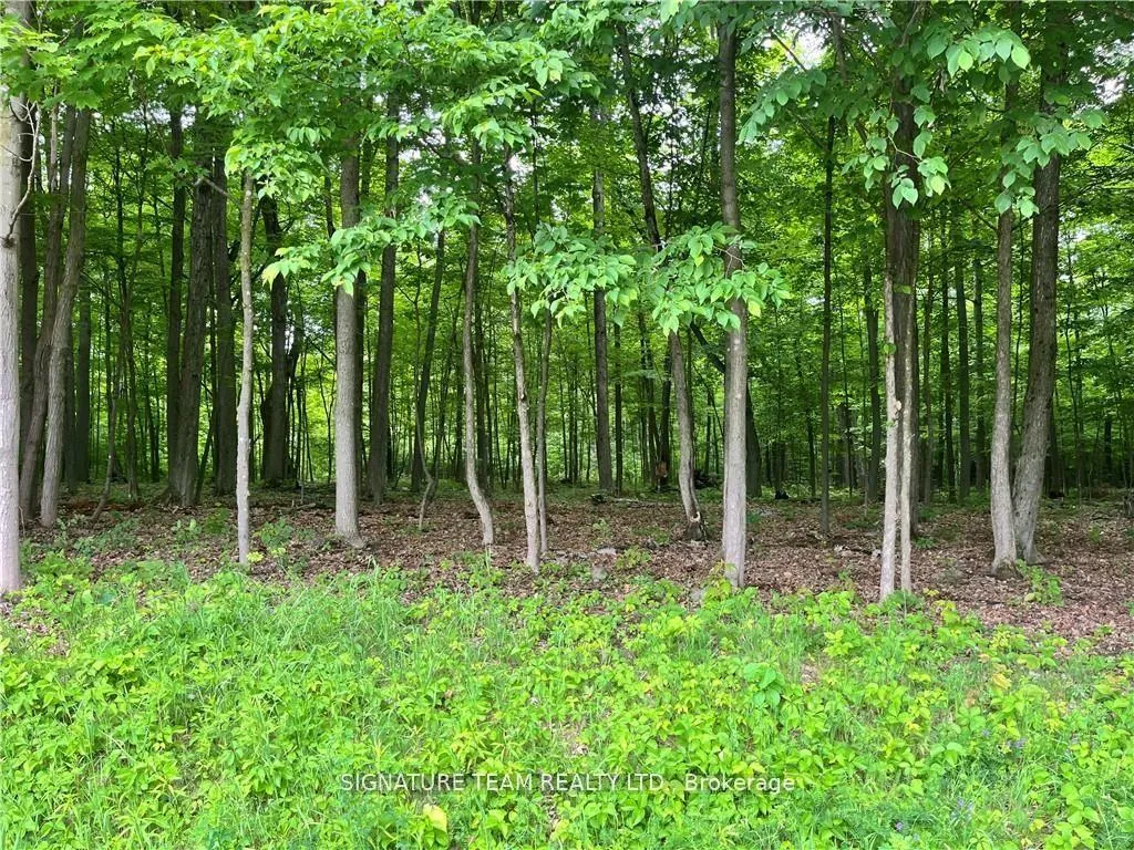 Photo 7 of lot 2 Point Road, McNab/Braeside, Mcnab/Braeside Twps — HOMEH