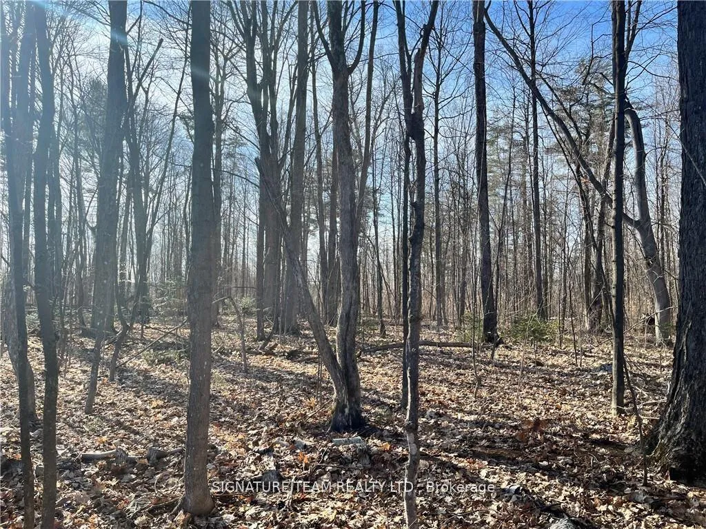 Photo 8 of lot 2 Point Road, McNab/Braeside, Mcnab/Braeside Twps — HOMEH