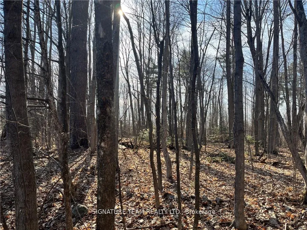 Photo 9 of lot 2 Point Road, McNab/Braeside, Mcnab/Braeside Twps — HOMEH