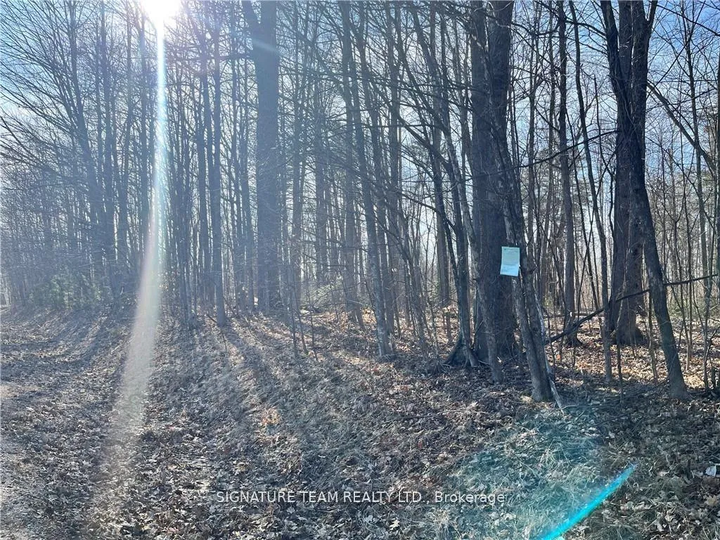 Photo 10 of lot 2 Point Road, McNab/Braeside, Mcnab/Braeside Twps — HOMEH