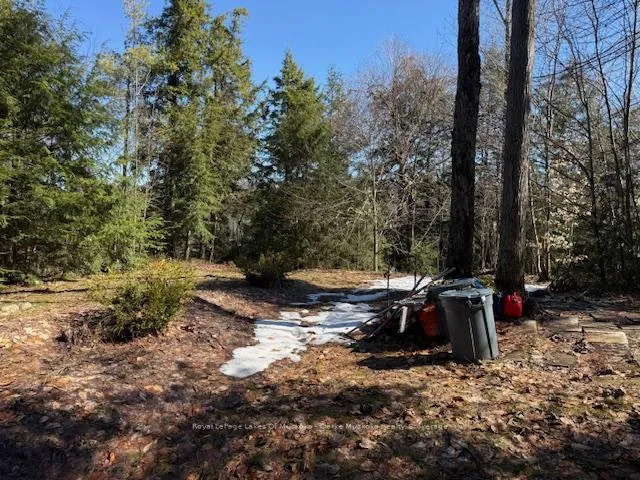 Photo 3 of South Crane Lake Road, The Archipelago, Archipelago South — HOMEH