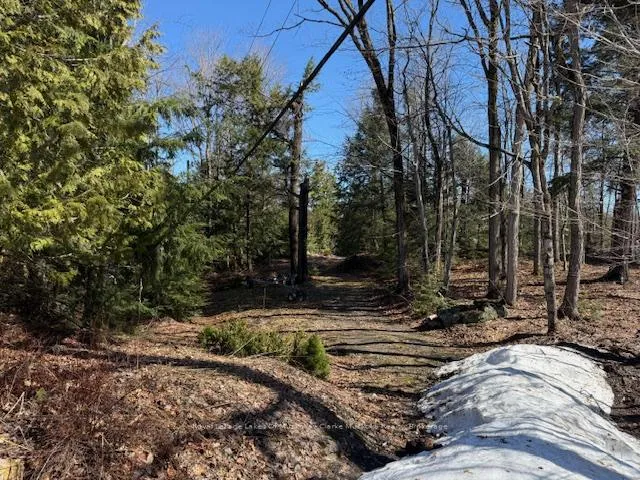 Photo 4 of South Crane Lake Road, The Archipelago, Archipelago South — HOMEH