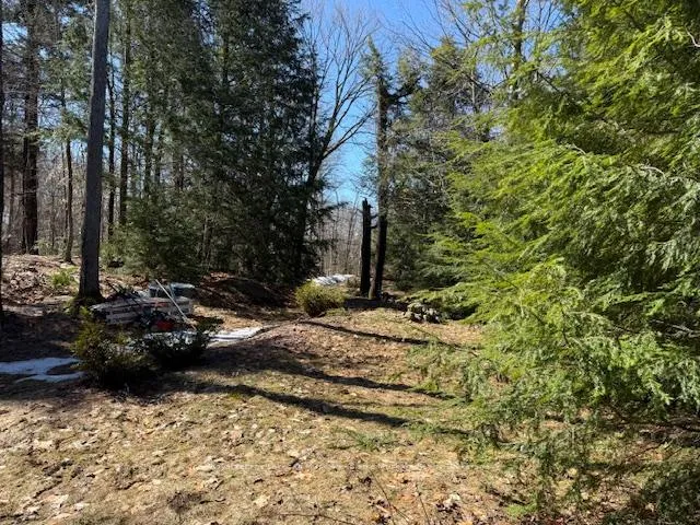 Photo 5 of South Crane Lake Road, The Archipelago, Archipelago South — HOMEH