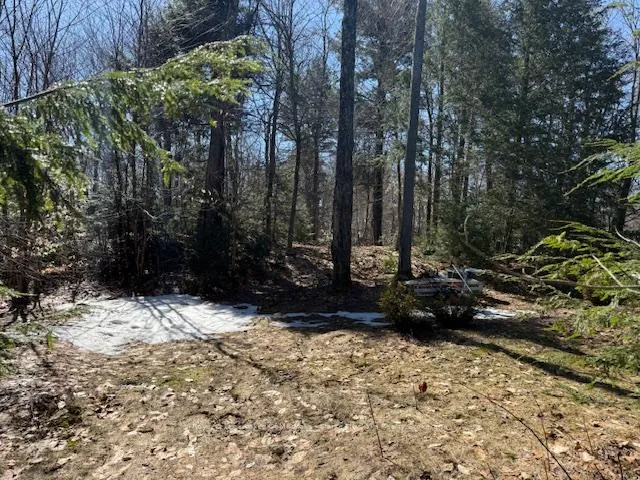 Photo 6 of South Crane Lake Road, The Archipelago, Archipelago South — HOMEH