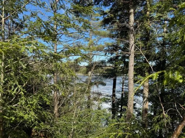 Photo 7 of South Crane Lake Road, The Archipelago, Archipelago South — HOMEH