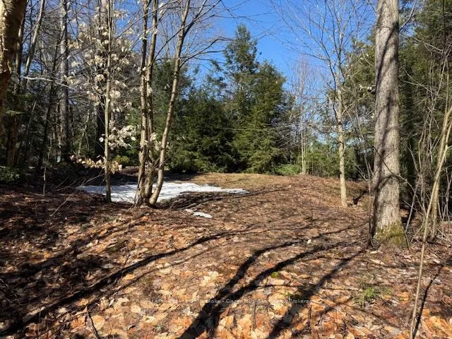 Photo 8 of South Crane Lake Road, The Archipelago, Archipelago South — HOMEH