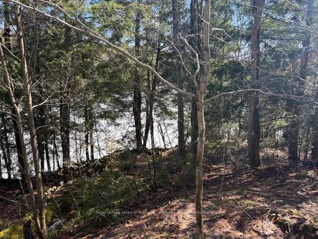 Photo 9 of South Crane Lake Road, The Archipelago, Archipelago South — HOMEH