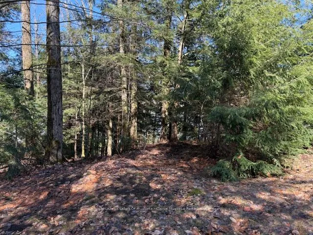 Photo 11 of South Crane Lake Road, The Archipelago, Archipelago South — HOMEH