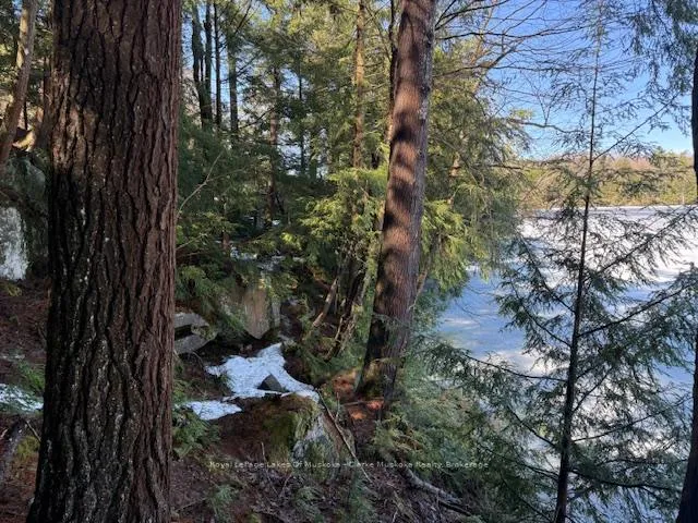 Photo 14 of South Crane Lake Road, The Archipelago, Archipelago South — HOMEH