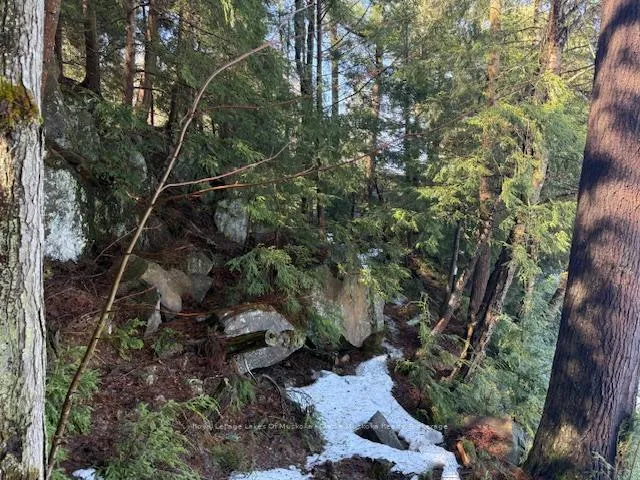 Photo 15 of South Crane Lake Road, The Archipelago, Archipelago South — HOMEH