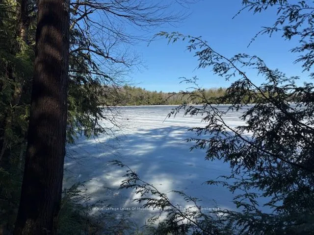 Photo 16 of South Crane Lake Road, The Archipelago, Archipelago South — HOMEH