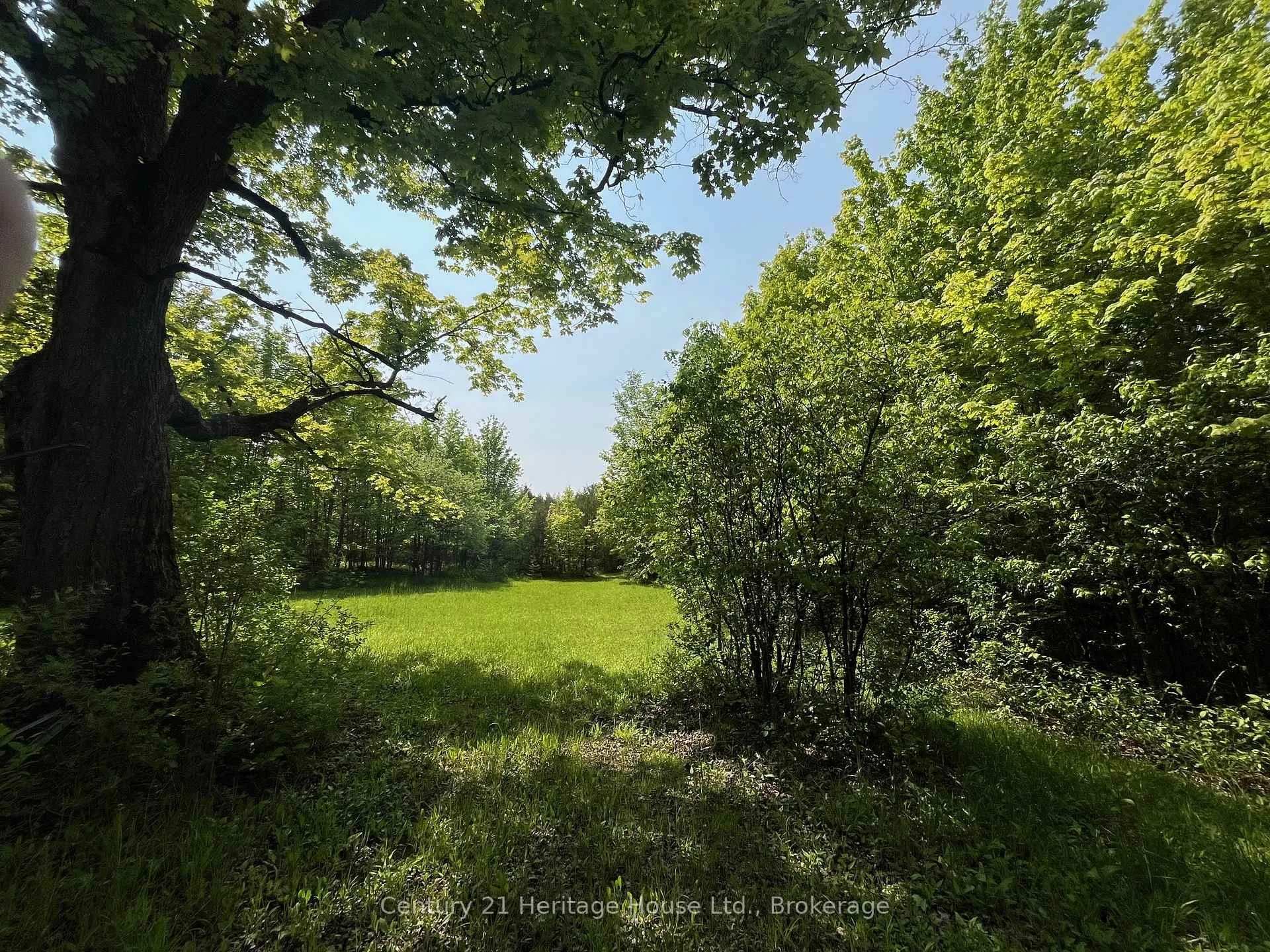 Photo 6 of 502774 Sideroad 9 WGR, West Grey — HOMEH