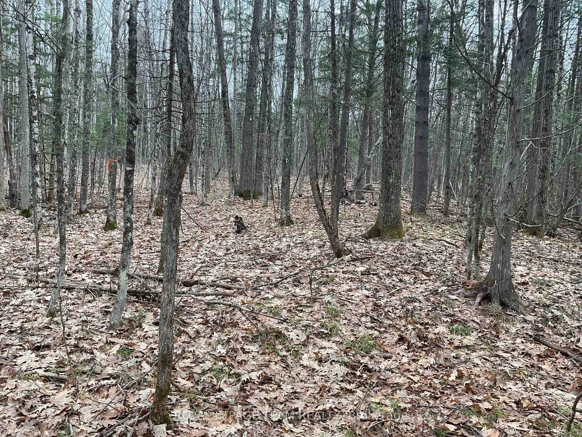 Photo 4 of 4403 Wolf Grove Road, Lanark Highlands, Lanark Highlands (Lanark) Twp — HOMEH